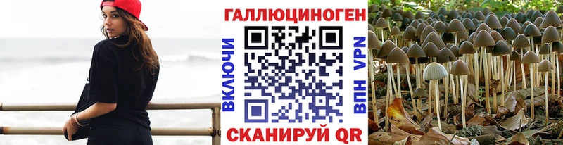 купить  цена  Среднеколымск  Псилоцибиновые грибы прущие грибы 